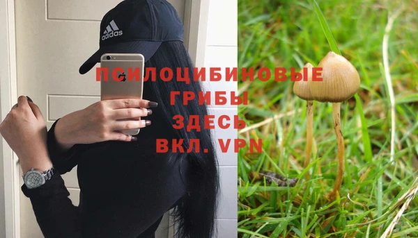 герыч Липки