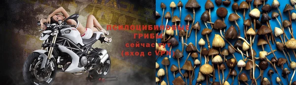 стафф Лиски