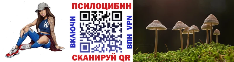 Псилоцибиновые грибы Psilocybe  Мыски 