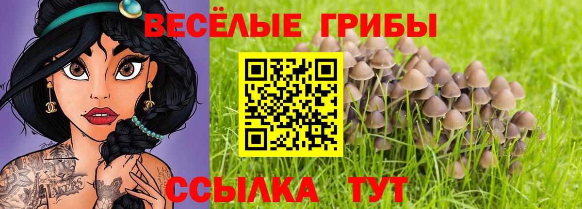 Мыски  Галлюциногенные грибы прущие грибы  Вход с VPN  Галлюциногенные грибы Cubensis 
