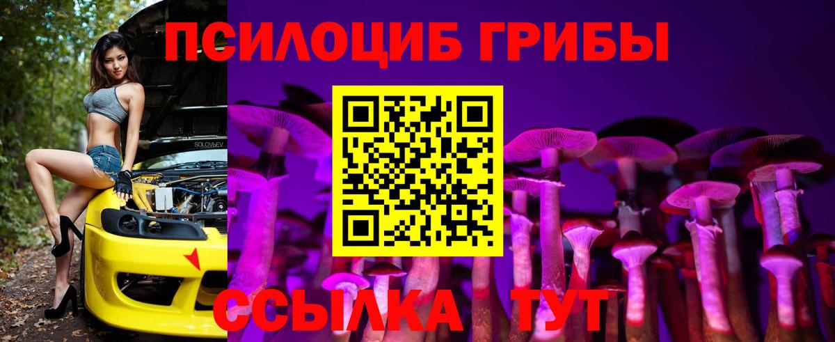 Псилоцибиновые грибы Psilocybine cubensis Мыски